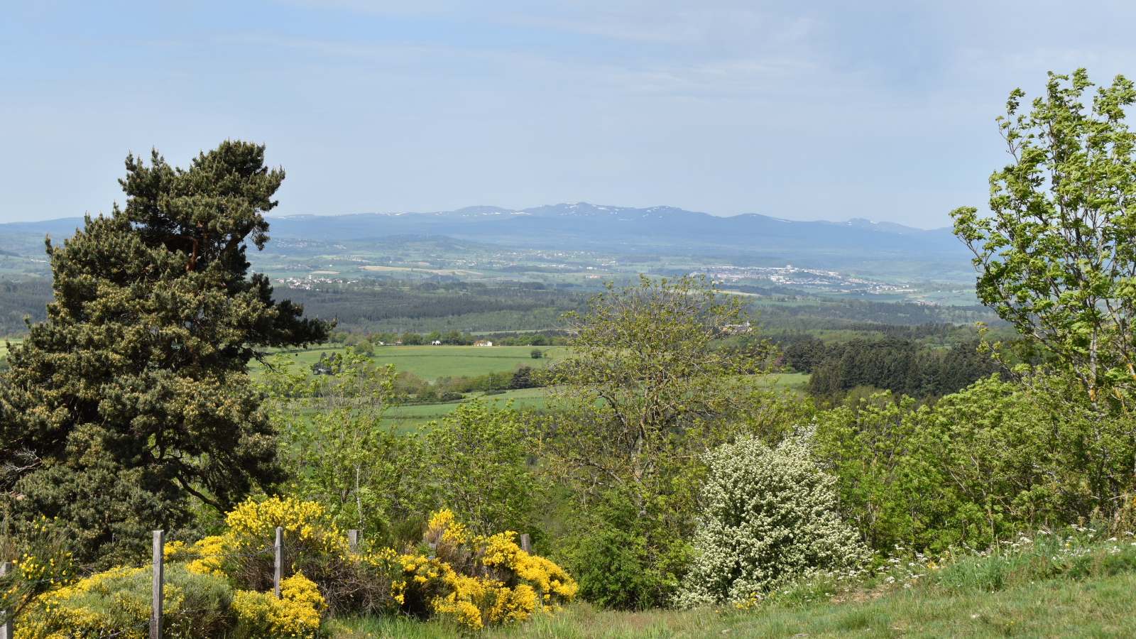 Circuit VTT Trailus-Vue Monts du Cantal-Margeride-Cantal-Auvergne