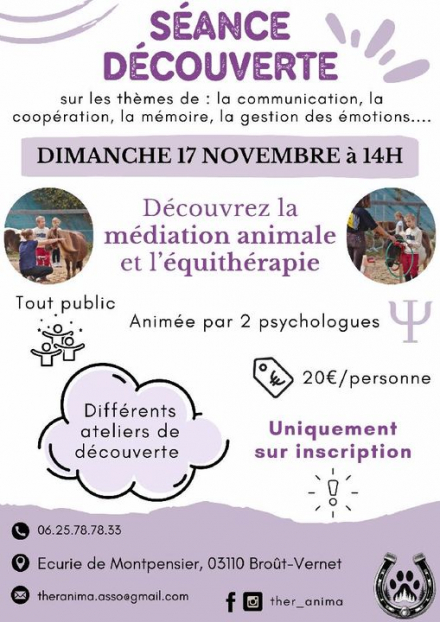 Séance découverte médiation animale et l'équithérapie