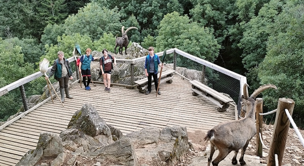 Camps nature - Parc Animalier d'Auvergne