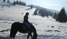 Le Col de la Molède à cheval ou au pas de l'âne