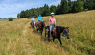 Equi Cantal - Randonnées équestres et promenades à cheval