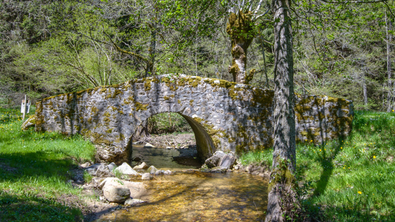 Pont sur la Dorette