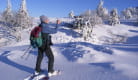 Activités du Bureau Montagne Mont-Dore