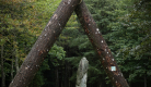 Menhir du Bois des Brosses