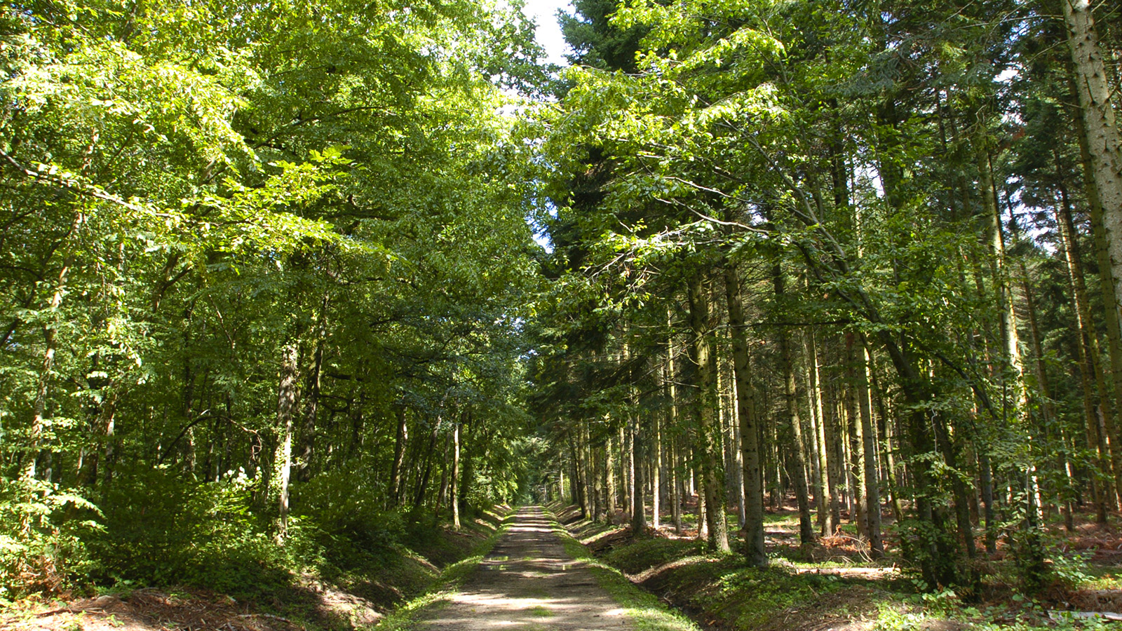 Circuit VTT n°27 – Tour de la Comté