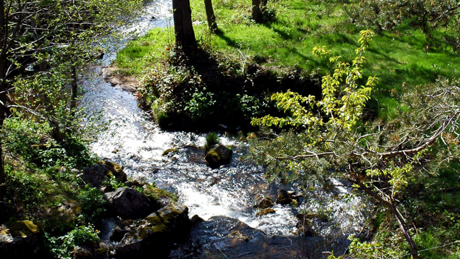 Ruisseau la Semène