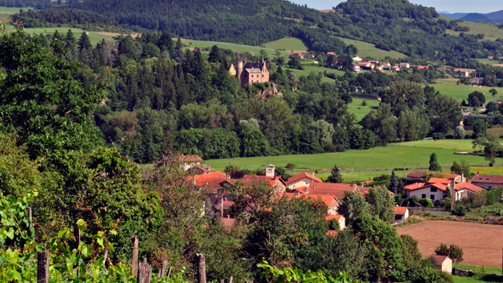 Vignes sous Ceneuil et château de Margeaix