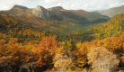 Conférence du Parc des Volcans d'Auvergne : L’évolution des forêts cantaliennes