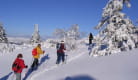 Activités du Bureau Montagne Mont-Dore