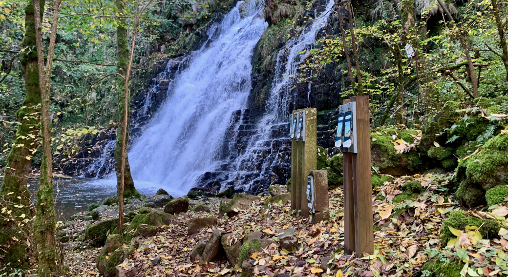 Cascade de la Roche