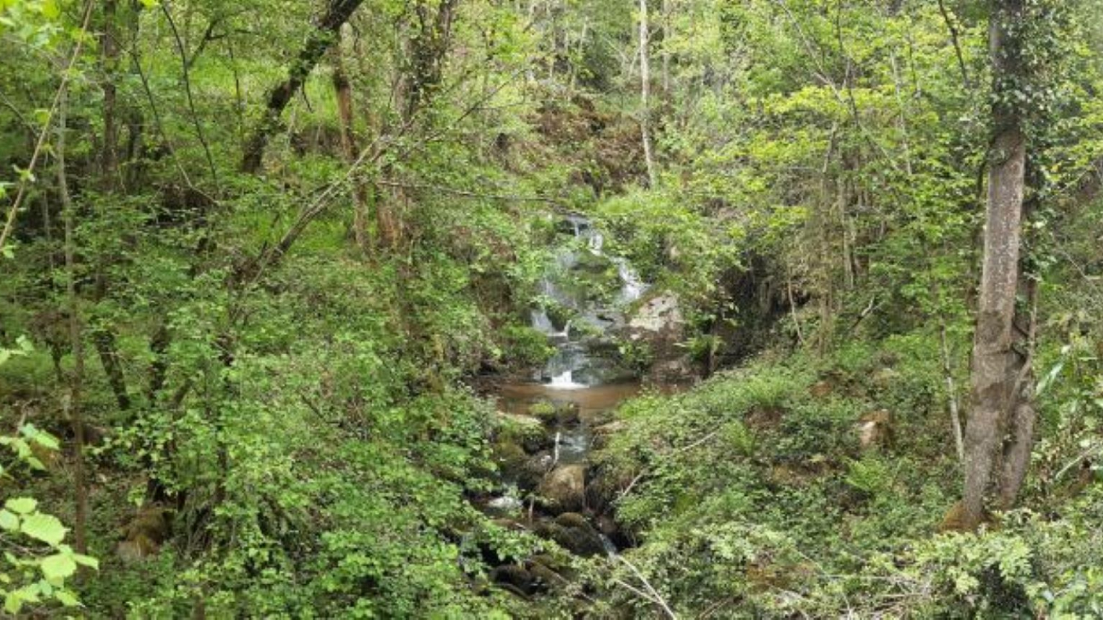 Cascade de Champeaux