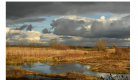 Le Temps de la Migration au Marais de Lambre !