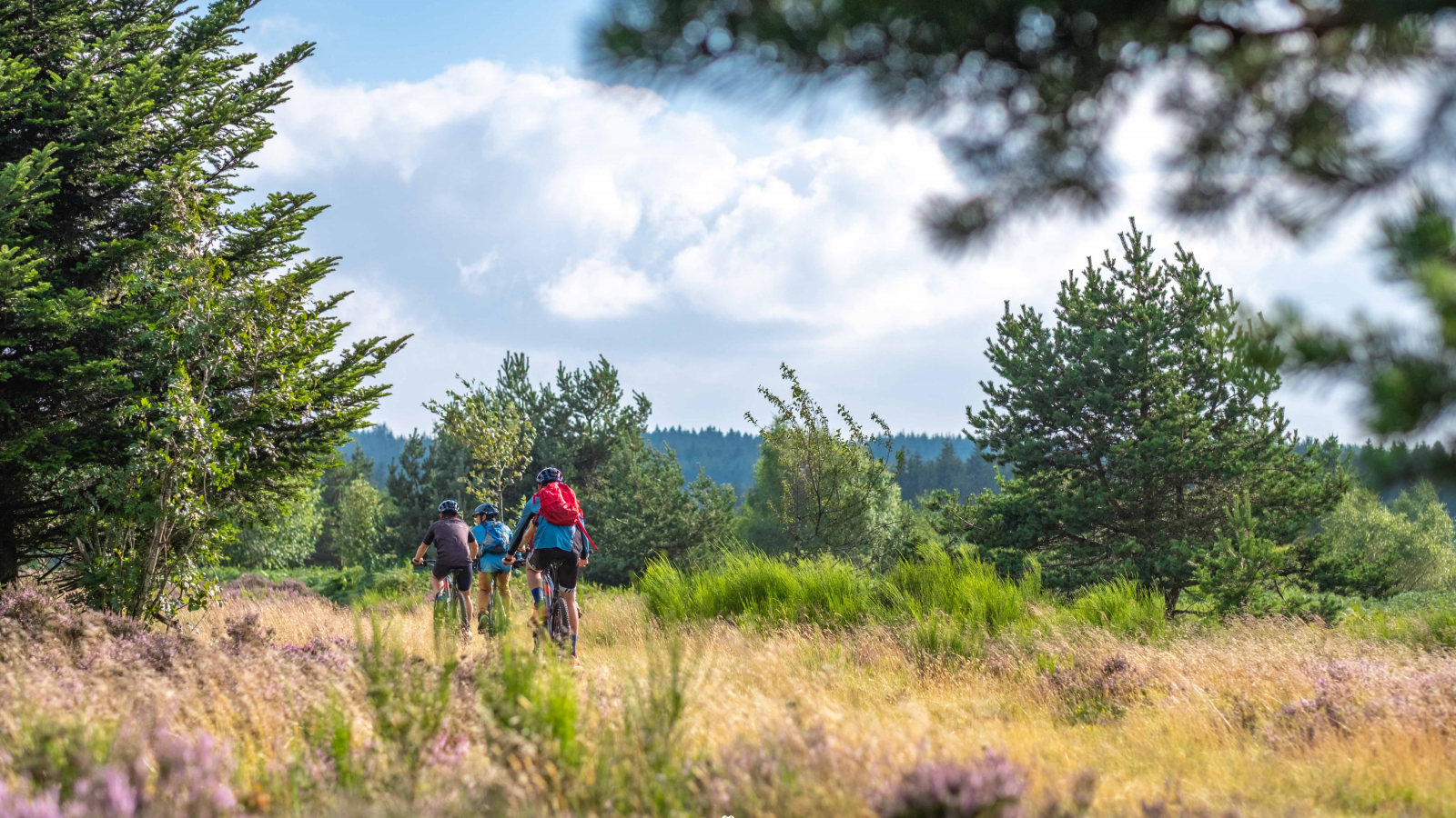 Paysage au plateau de la Verrerie