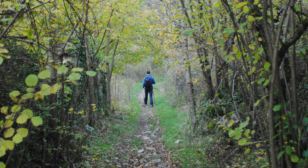 Marche nordique dans la campagne Monistrolienne