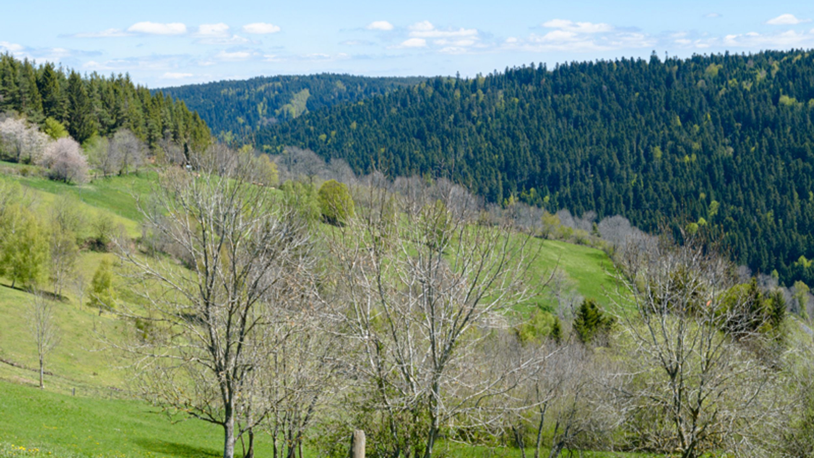 Vue depuis les Brayes