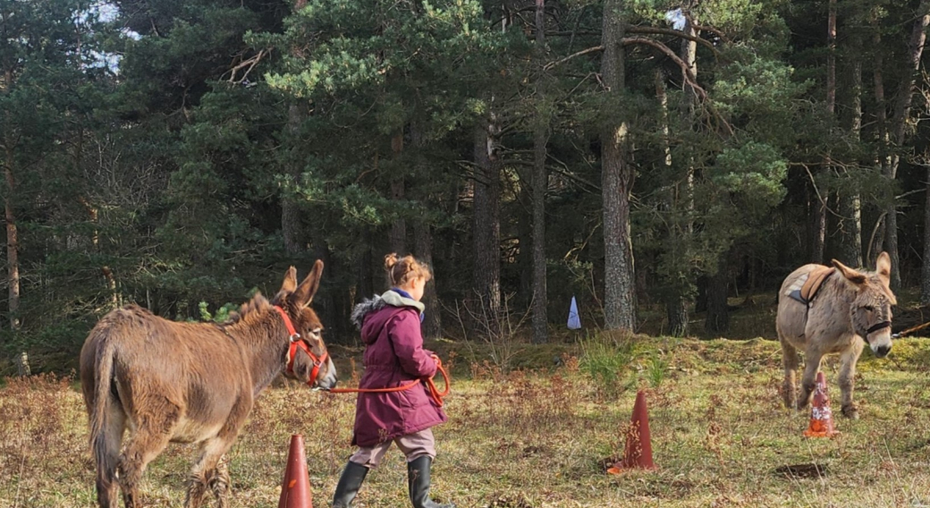 Semaine gourmande : poneys déguisés ?