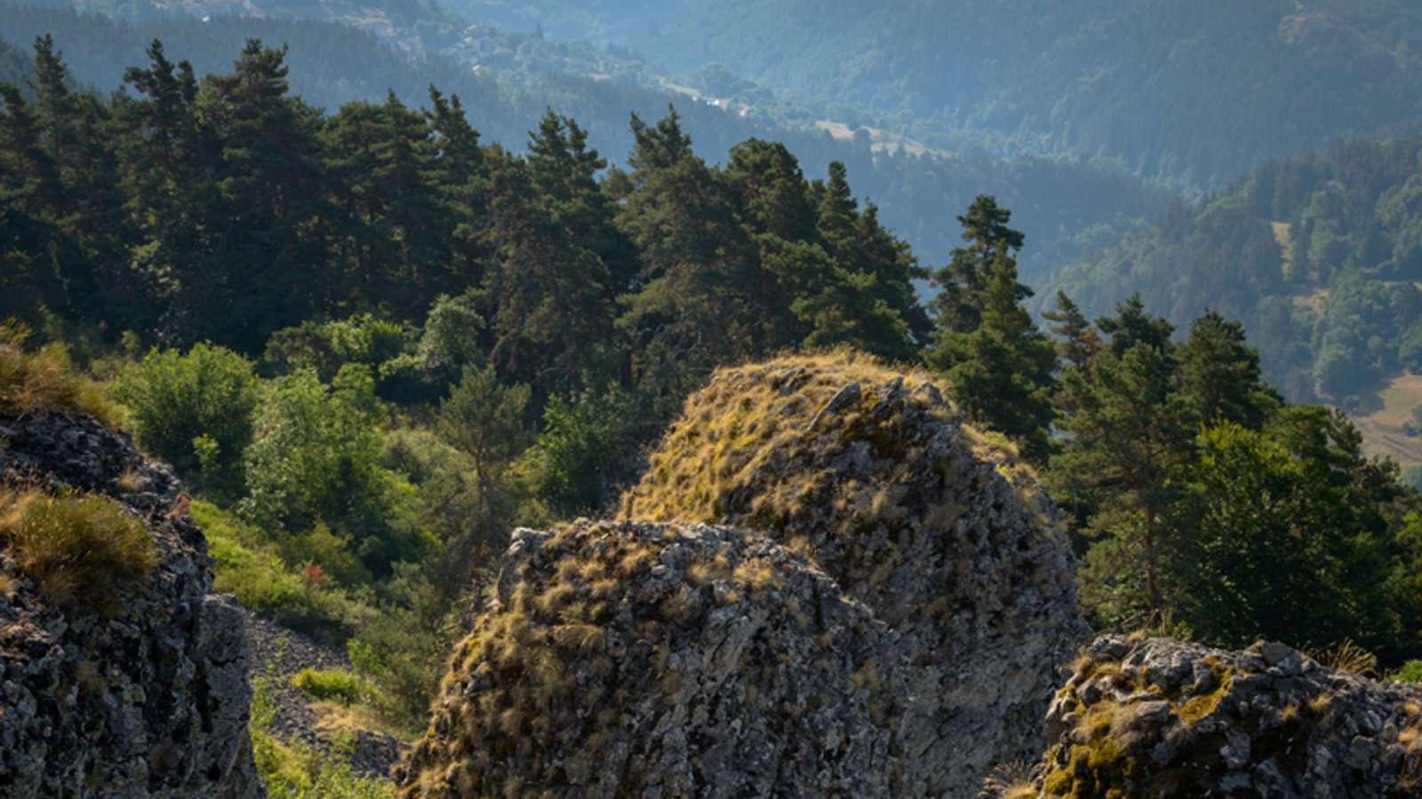 Vue depuisle Camp d'Antoune