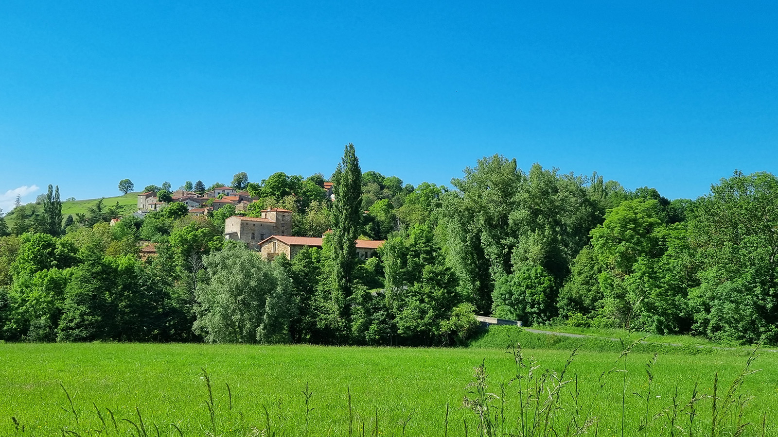 Circuit VTT n°25 – Puy de Pignols