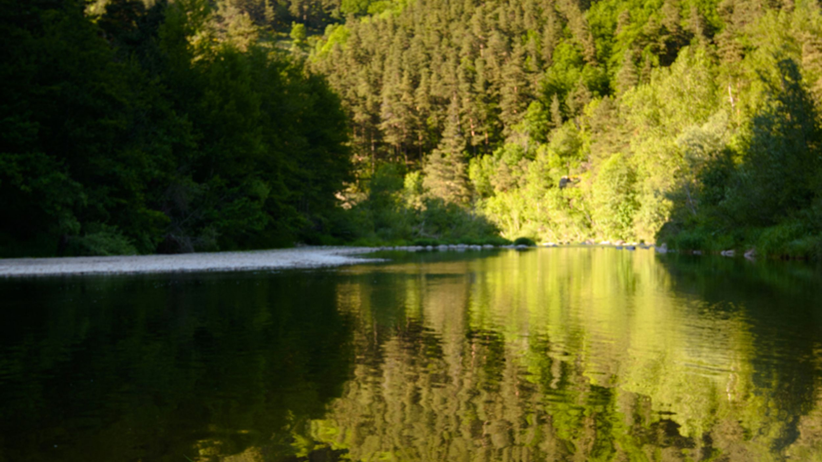 La Loire à Bonnefont