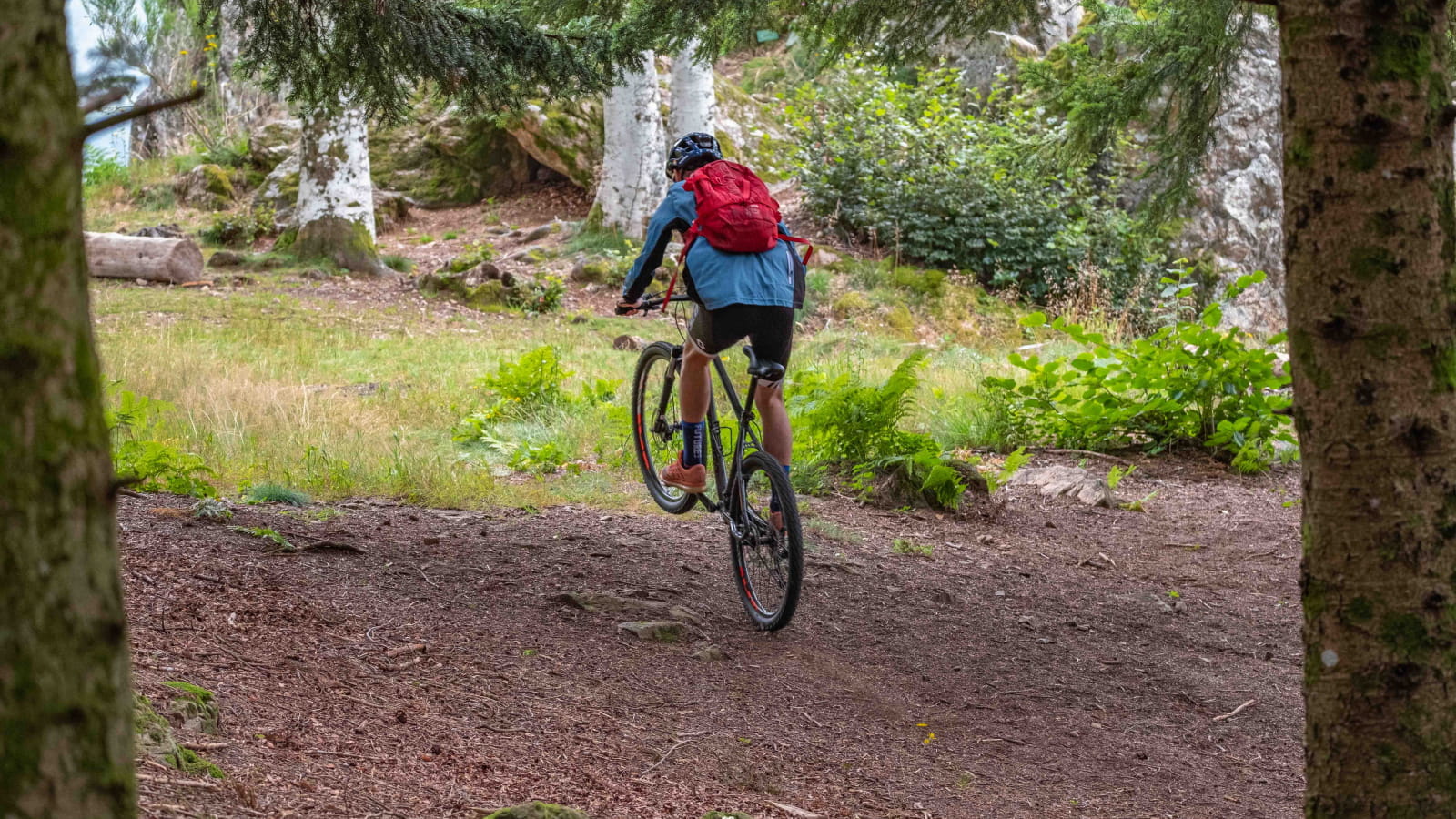 VTT en forêt