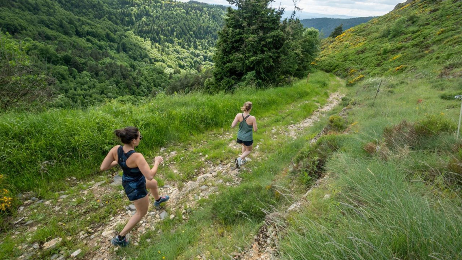 Trail du Suc de Monet