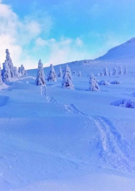 Les volcans sur un plateau