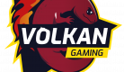 Festival Connexions 2024 - Tournoi de Jeu vidéo sur Mario Kart avec l'association  Volkan Gaming