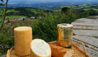 Société fromagère de St Bonnet le Courreau