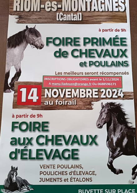 Foire Primée de Chevaux et Poulains