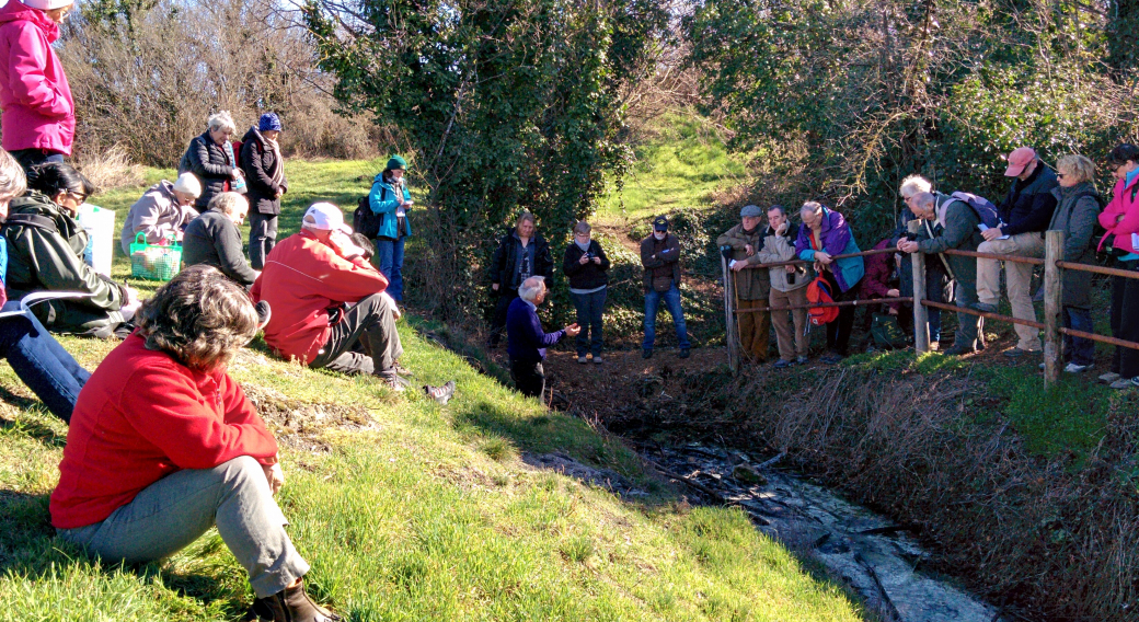 Conférence : Sancy sauvage, biodiversité et volcanisme