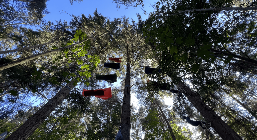 Demi journée repos des Bois