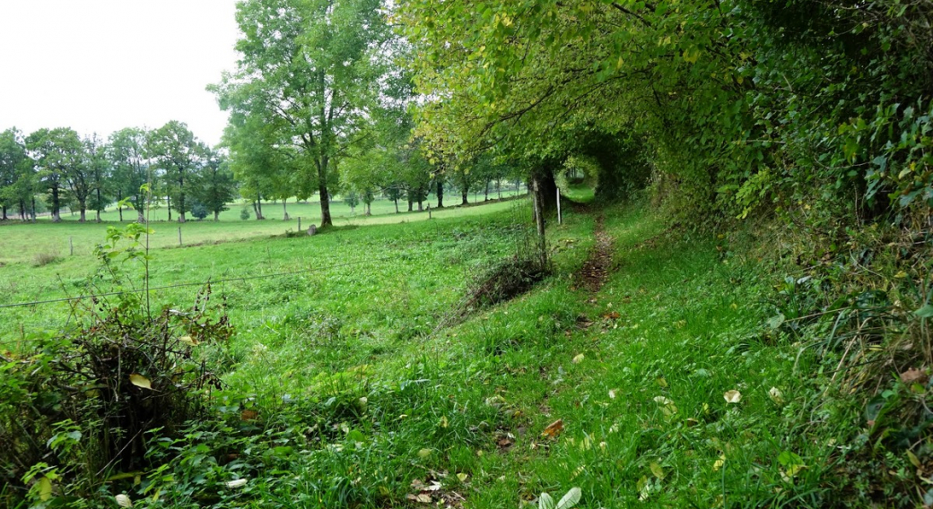 Le Rocher de la Mule