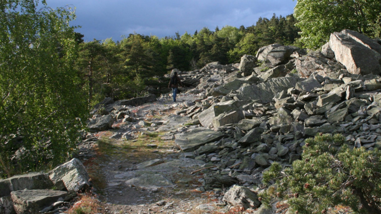 PR604 Suc de Combres et forêt de Miaune