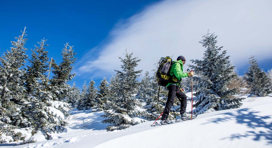 Pistes de raquettes - Secteur Besse - Pertuyzat