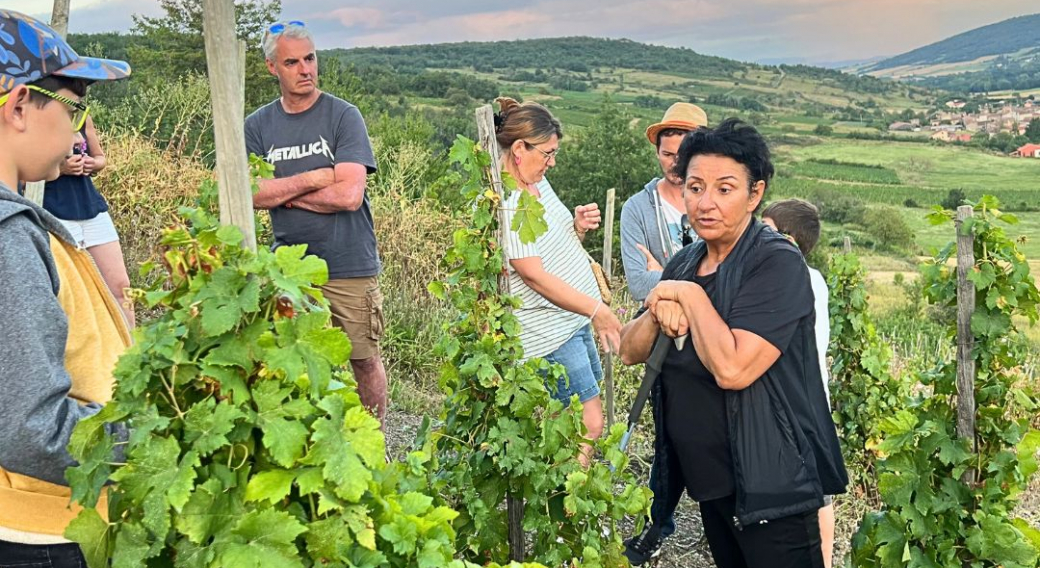 Oenobalade dans le vignoble de Boudes