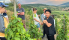 Oenobalade dans le vignoble de Boudes