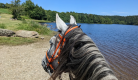 Equi Cantal - Randonnées équestres et promenades à cheval