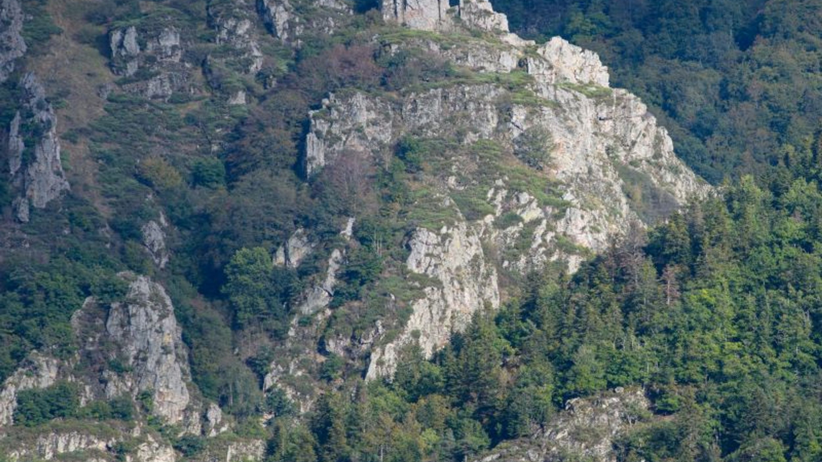 Les Gorges de l'Allier