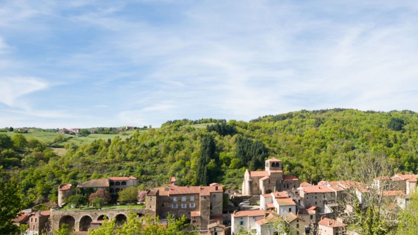 Vue sur Auzon et ses pigeonniers