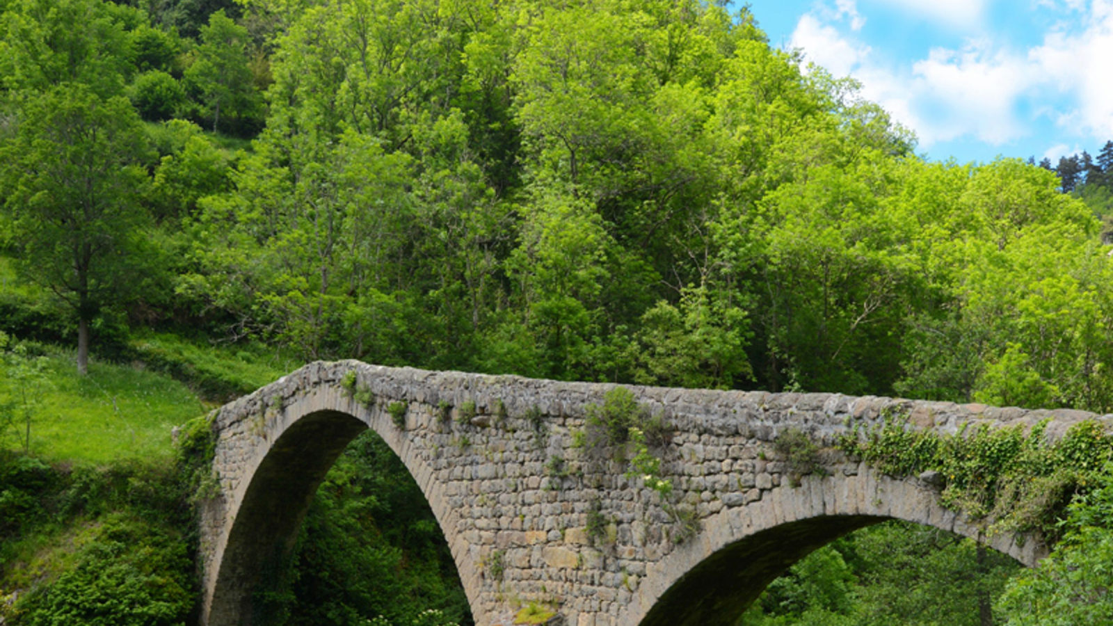 Le pont du Diable