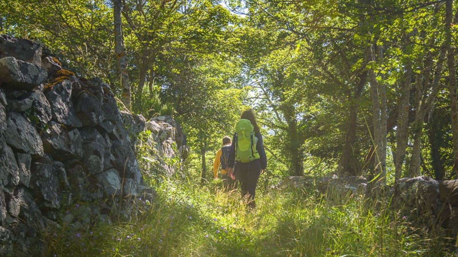 Randonneurs en forêt