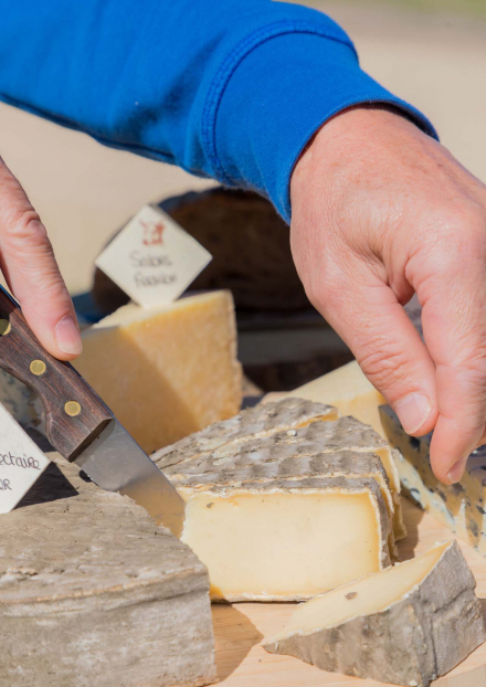 Histoire, découverte et dégustation du fromage AOP Saint-Nectaire