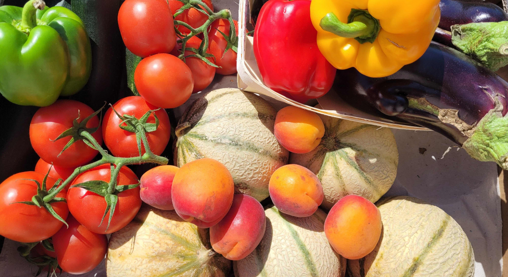 Producteur de Légumes bio - Fabien Berge