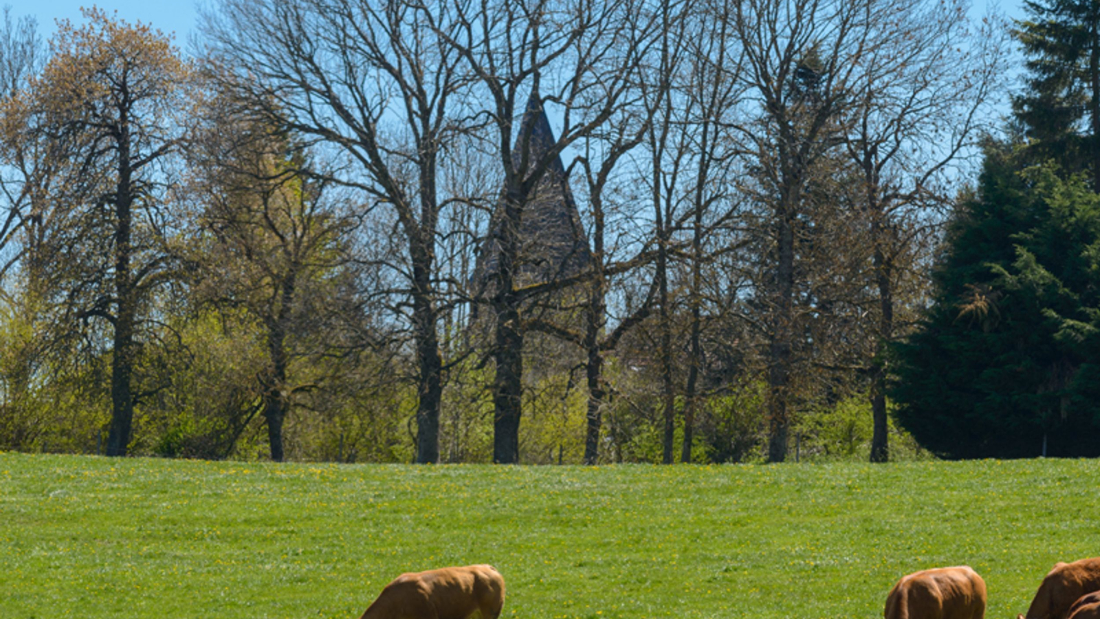 La Chapelle-Geneste