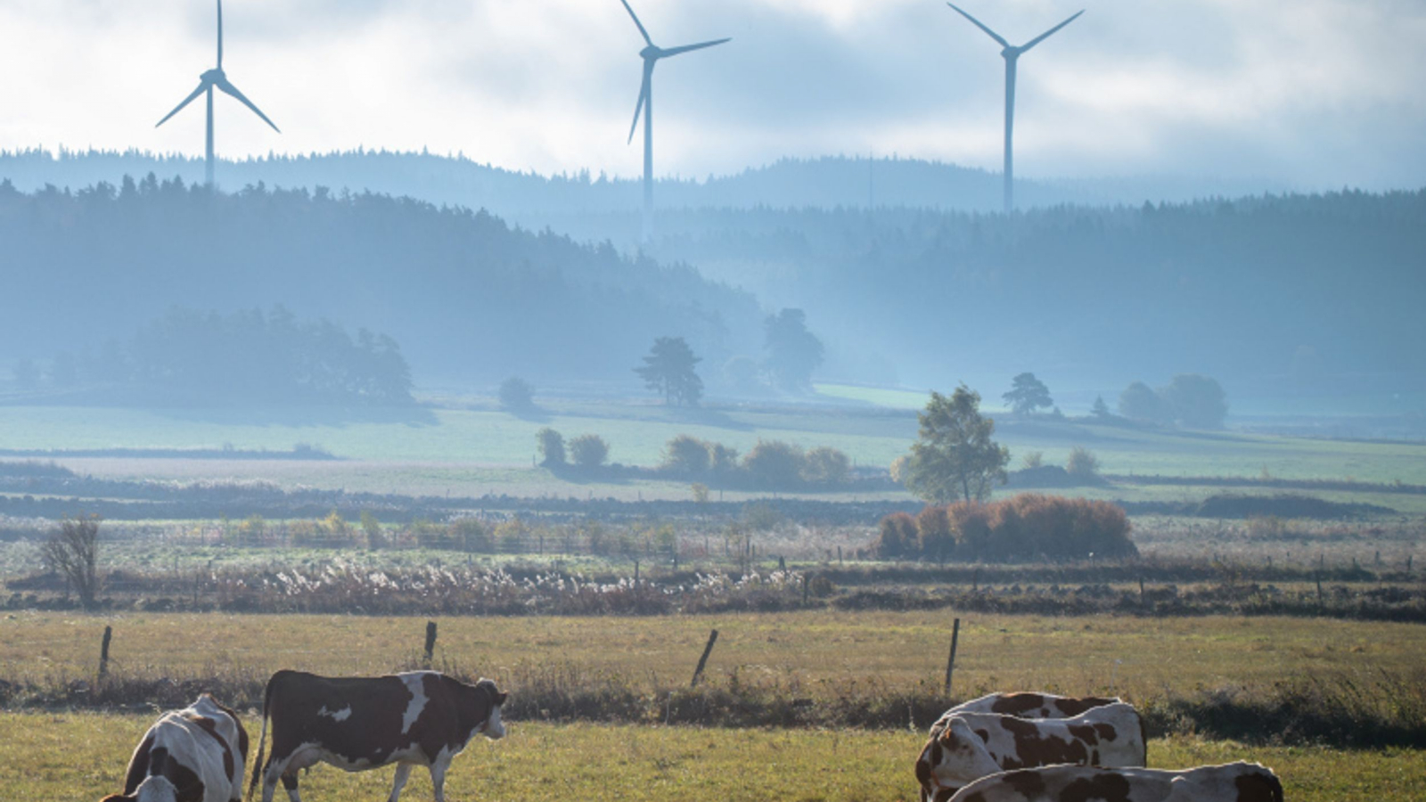 Eolienne à Saint-Jean-Lachalm