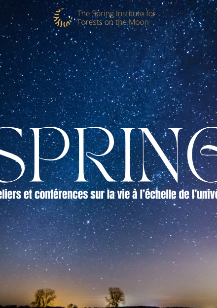 Séminaire international : Spring Institute, 3ème édition