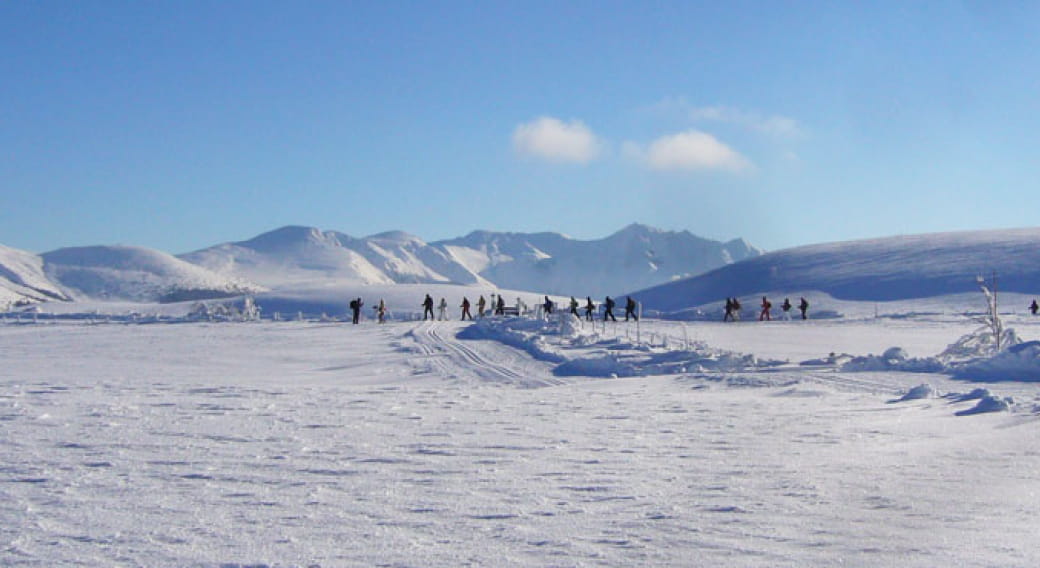 Les hauts plateaux du Guéry