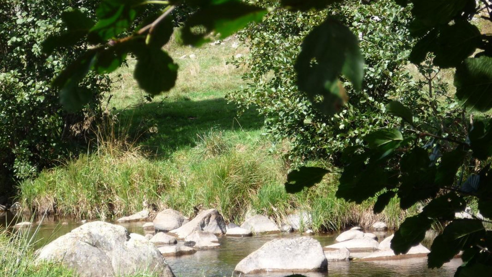 Le Lignon au Pont de Mars