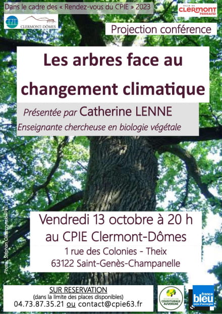 Les arbres face au changement climatique