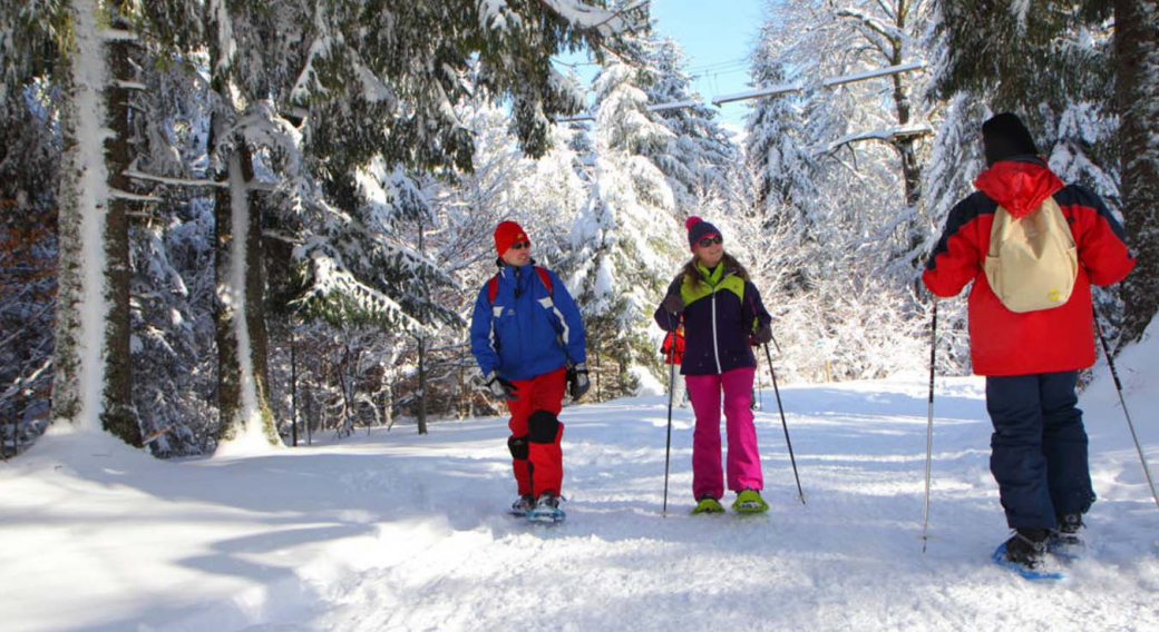 Pistes de raquettes - Secteur La Bourboule - Charlannes